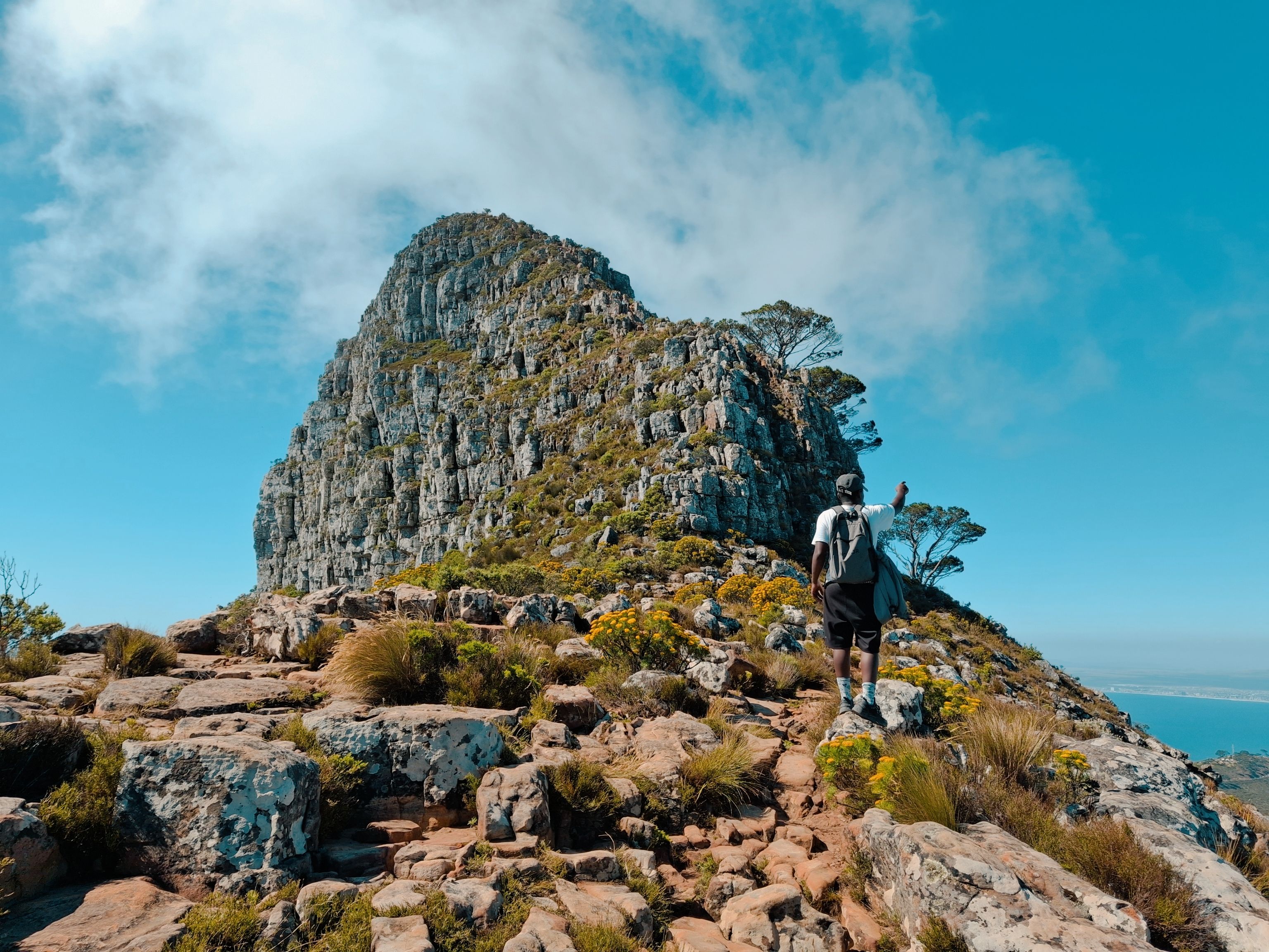 Peak: A Co-Op Climbing Experience That Redefines Value