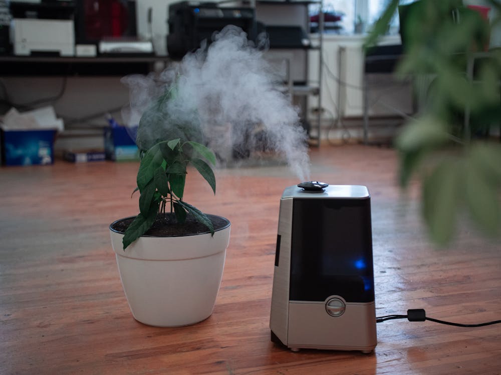 Turned-on Air Purifier on the Floor Near Plant