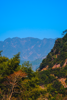 Vibrant mountain scenery with lush forest and clear blue sky.