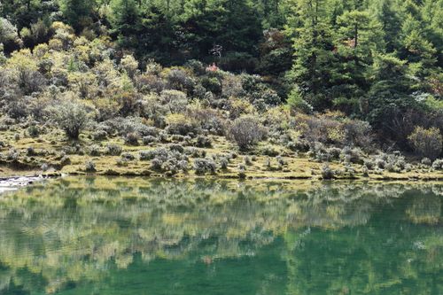 Free Tranquil forest scene with clear reflections on a serene lake, displaying vibrant greenery. Stock Photo