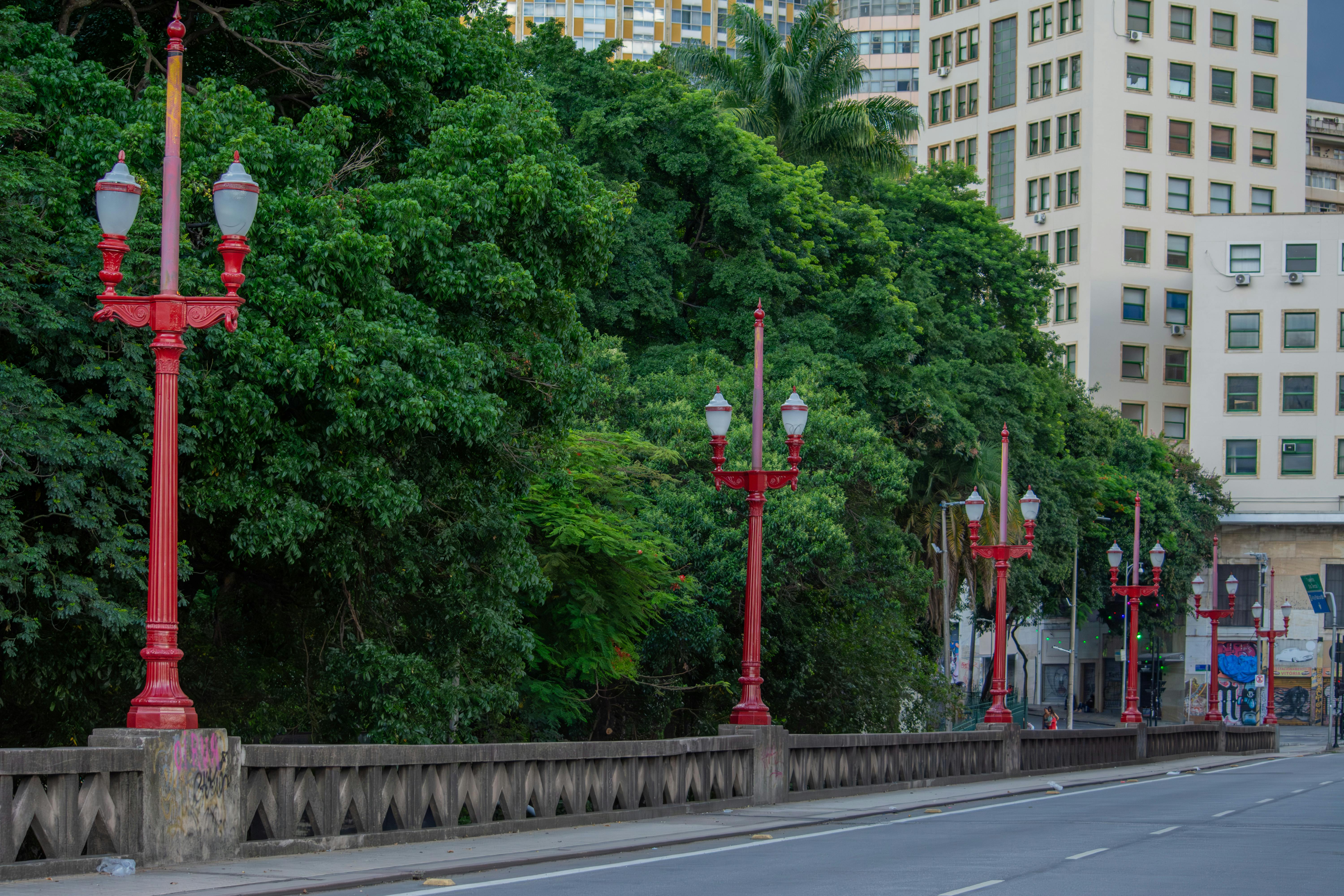 Free stock photo of architecture lover, nature meets city, the city