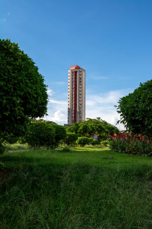 Free A striking tall building rises amidst lush greenery under a bright blue sky in Belo Horizonte, Brazil. Stock Photo