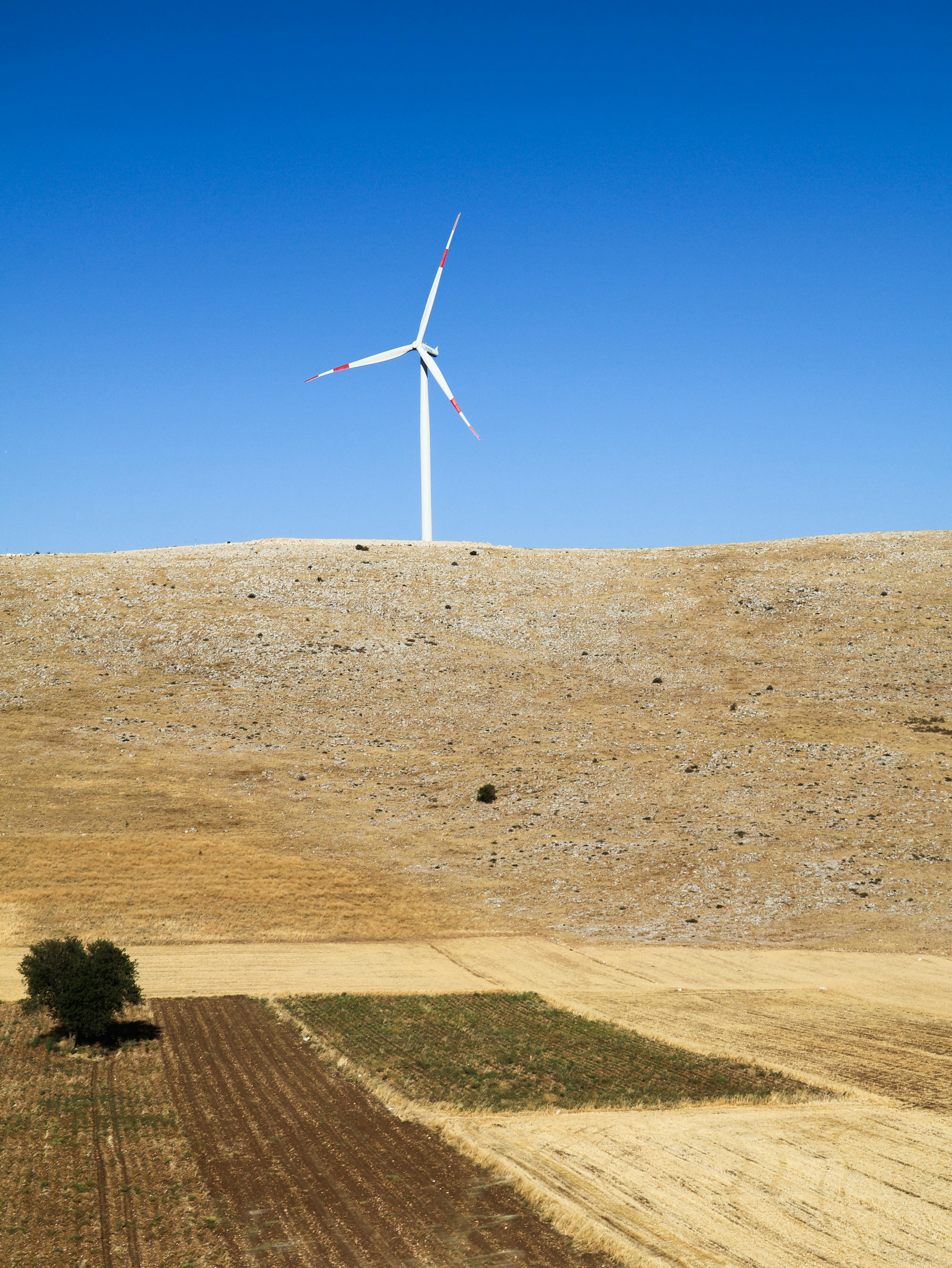 Exploring the causes of dry Itchy Scalp and Its Impact on Hair Health