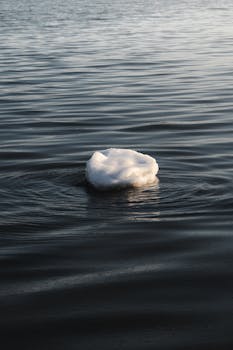 A single ice block floating on a serene body of water, reflecting a peaceful winter scene.