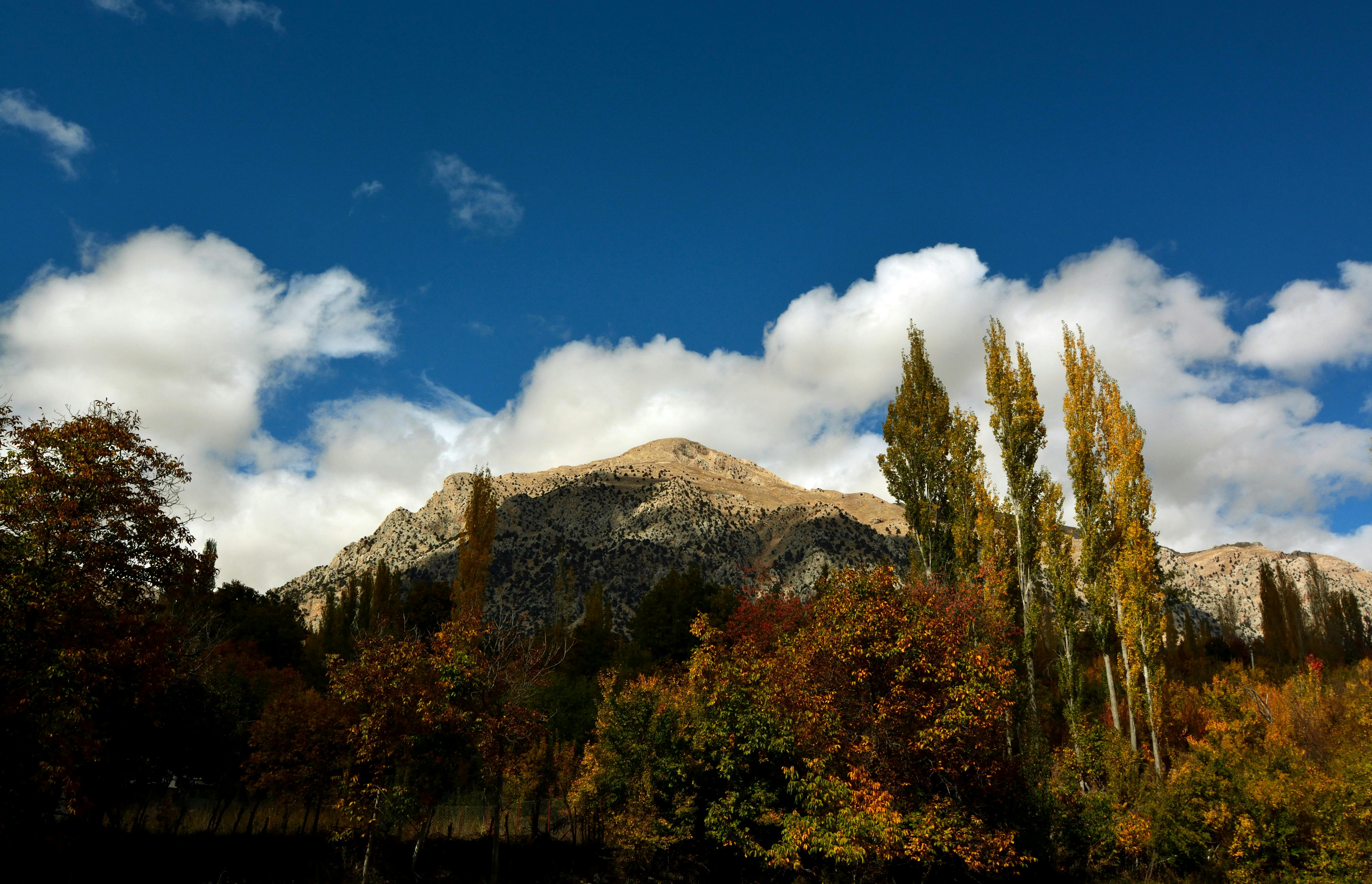 Gombe, Nigeria - travel photo