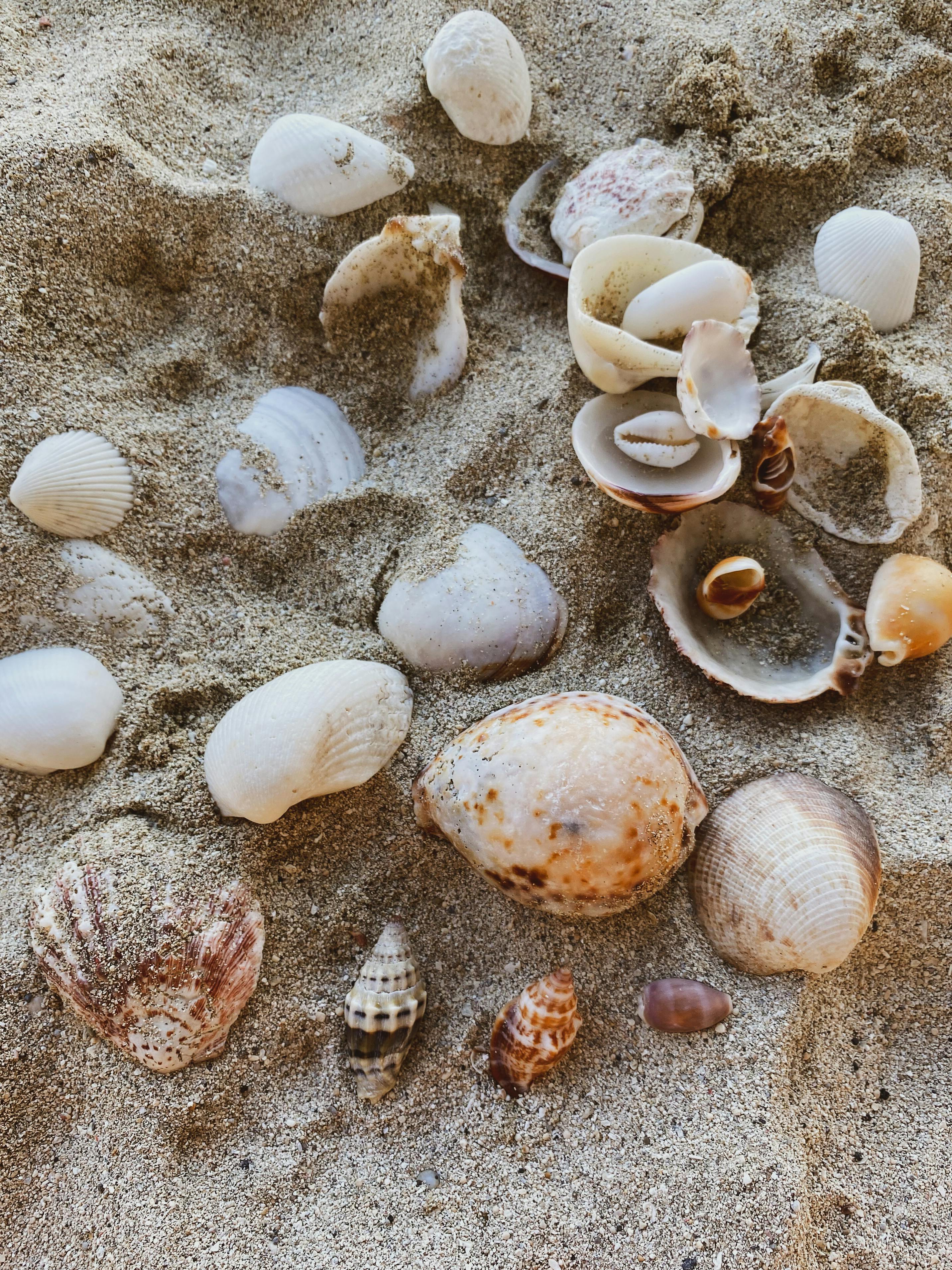 Key Features That Set​ the ProMix Collection Apart