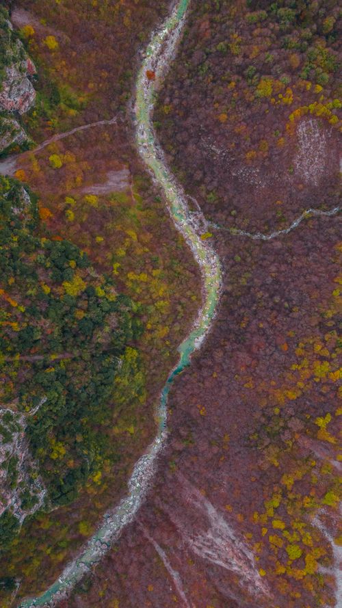 Free Stunning aerial view of a mountain stream flowing through colorful autumn foliage. Stock Photo