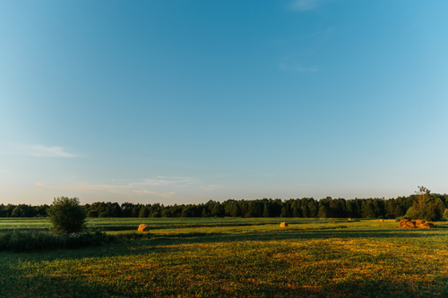 Free Peaceful rural field with hay bales under a clear blue sky during sunset. Stock Photo