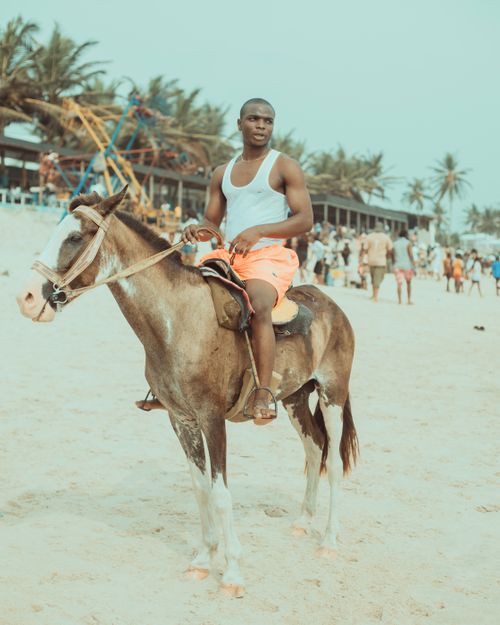 Free A man on horseback enjoys a scenic beach ride under palm trees. Stock Photo