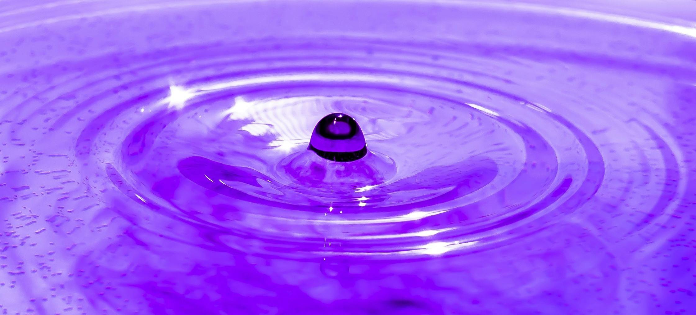 Purple Photos, Download The BEST Free Purple Stock Photos & HD Images