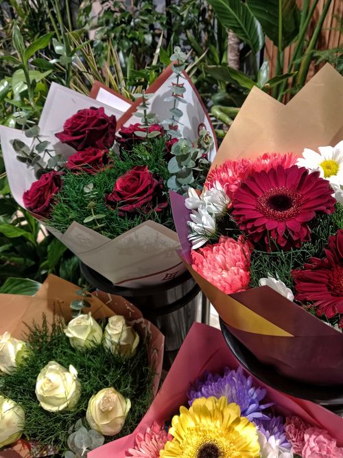 Free Vibrant bouquets featuring roses, gerberas, and daisies in a lush indoor setting. Stock Photo