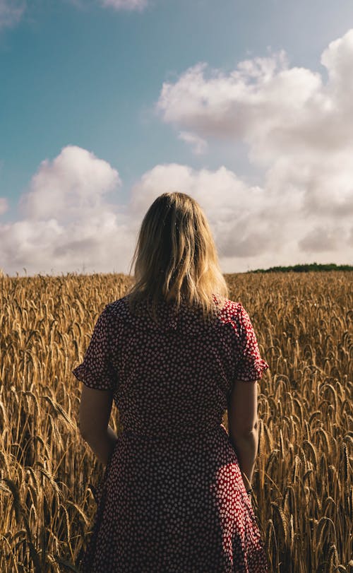麦畑に立つ女性