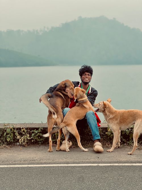 Free Smiling man sitting with three dogs near a serene lake and lush hills. Stock Photo