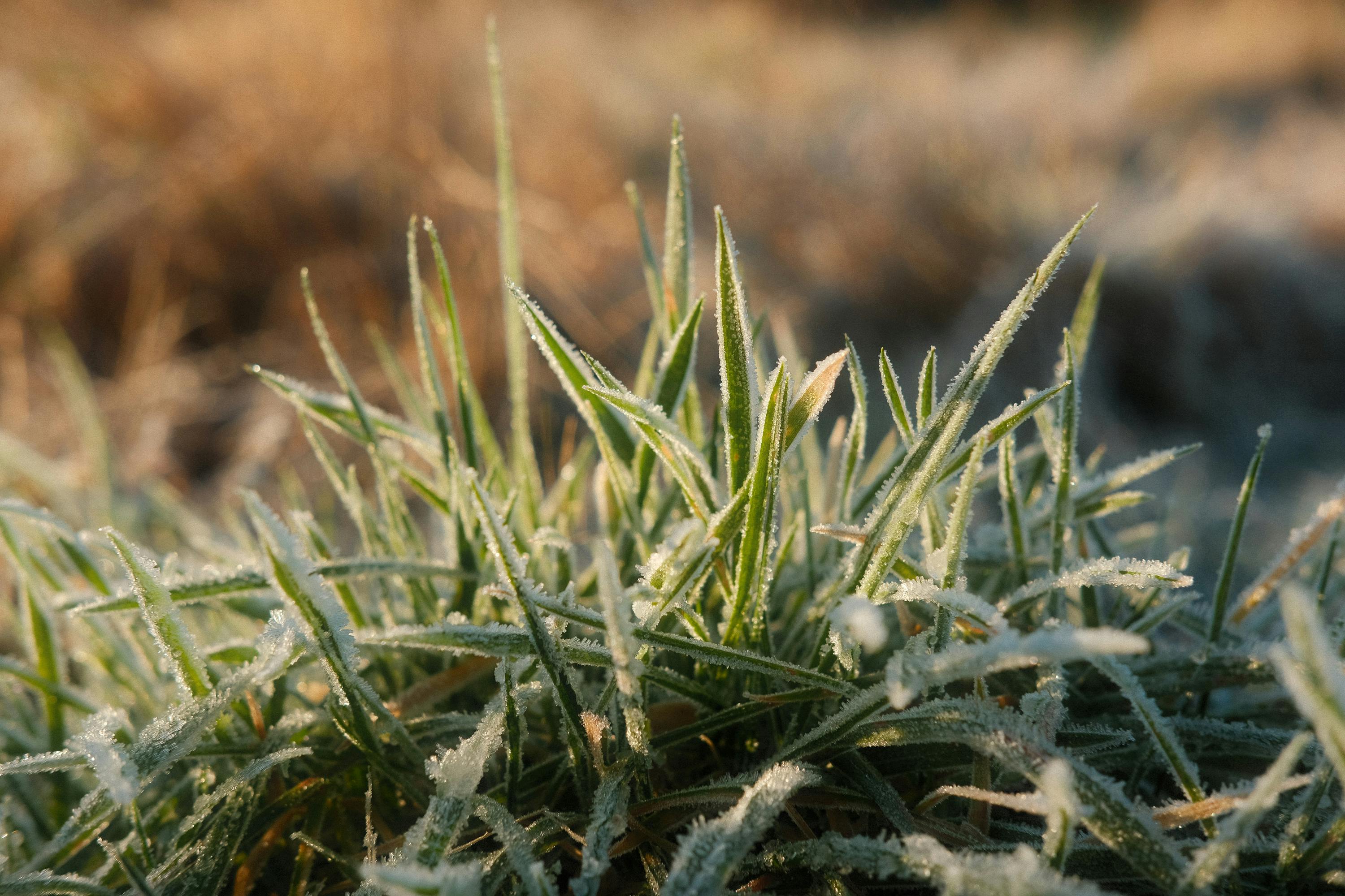Impact of Ice on Hydroelectric Plants