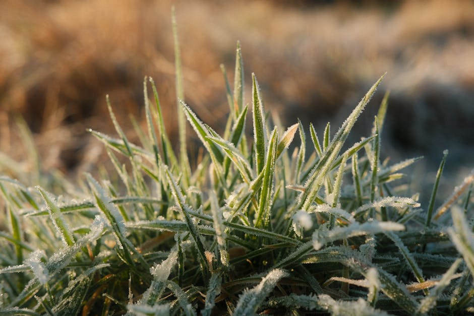 Impact of Ice on Hydroelectric Plants