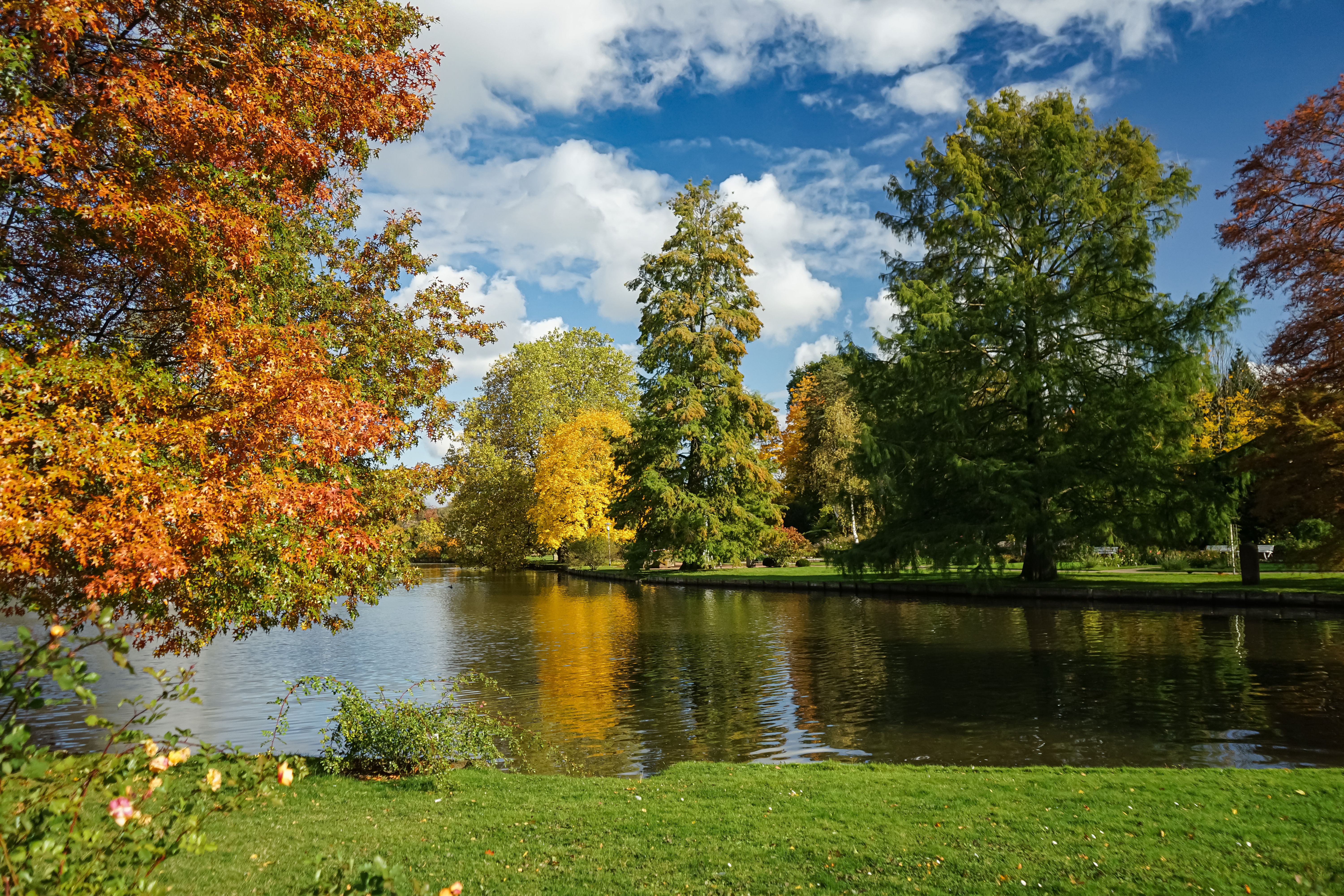 Serene Fall Landscape with Colorful Trees and Lake · Free Stock Photo