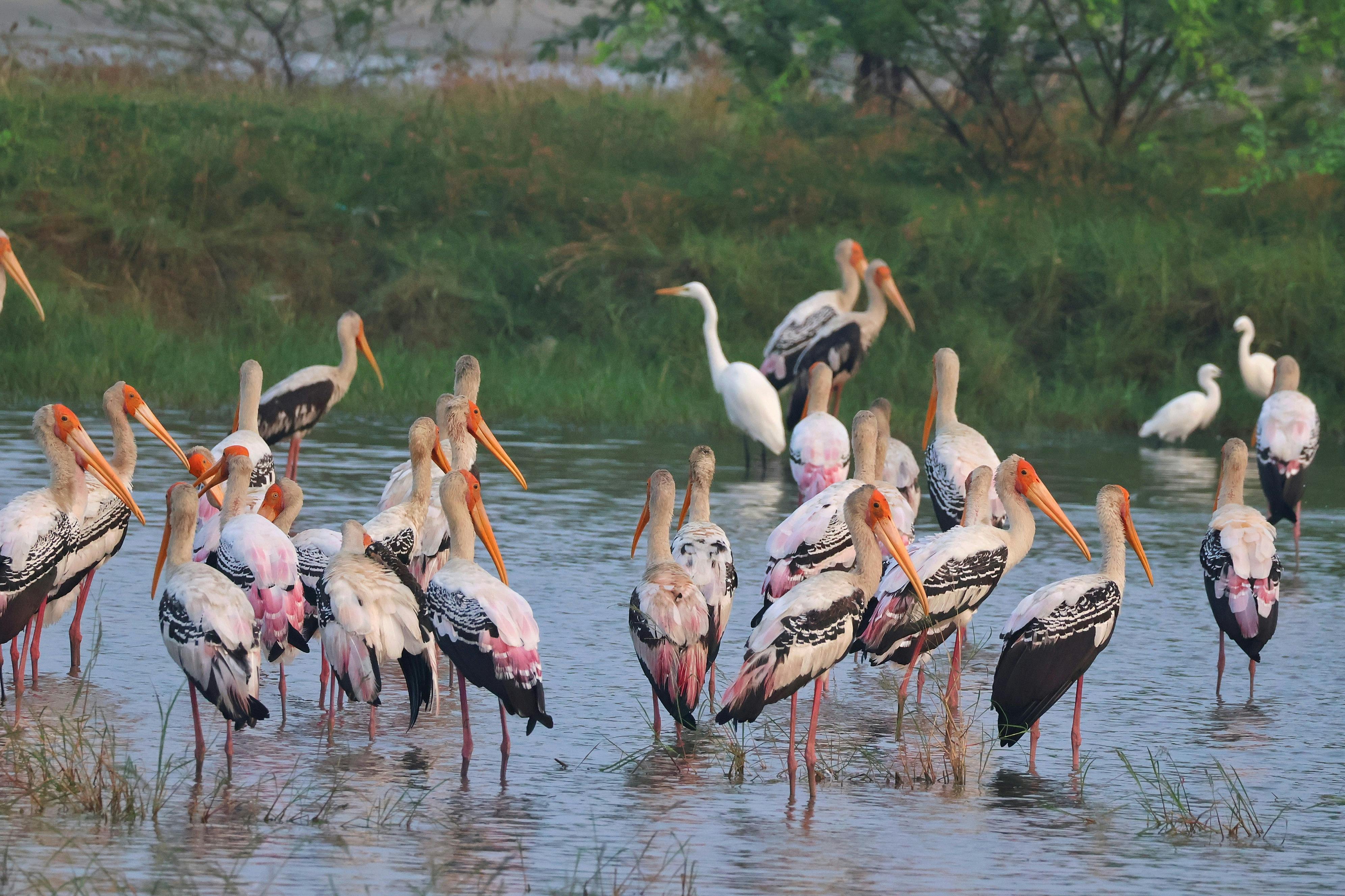 國防：瘋狂川普再推軍事擴張！美軍預算增幅50%引發市場熱潮