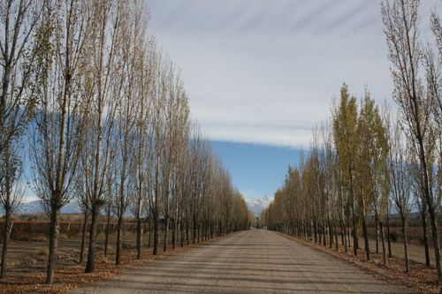 Free stock photo of alameda, mountains, path Stock Photo