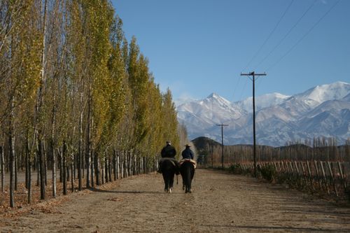 Free stock photo of alameda, argentina, gauchos Stock Photo