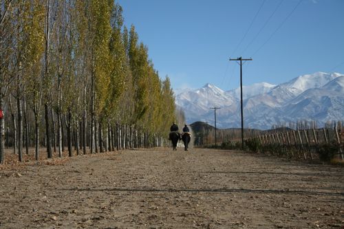 Free stock photo of alameda, argentina, gauchos Stock Photo