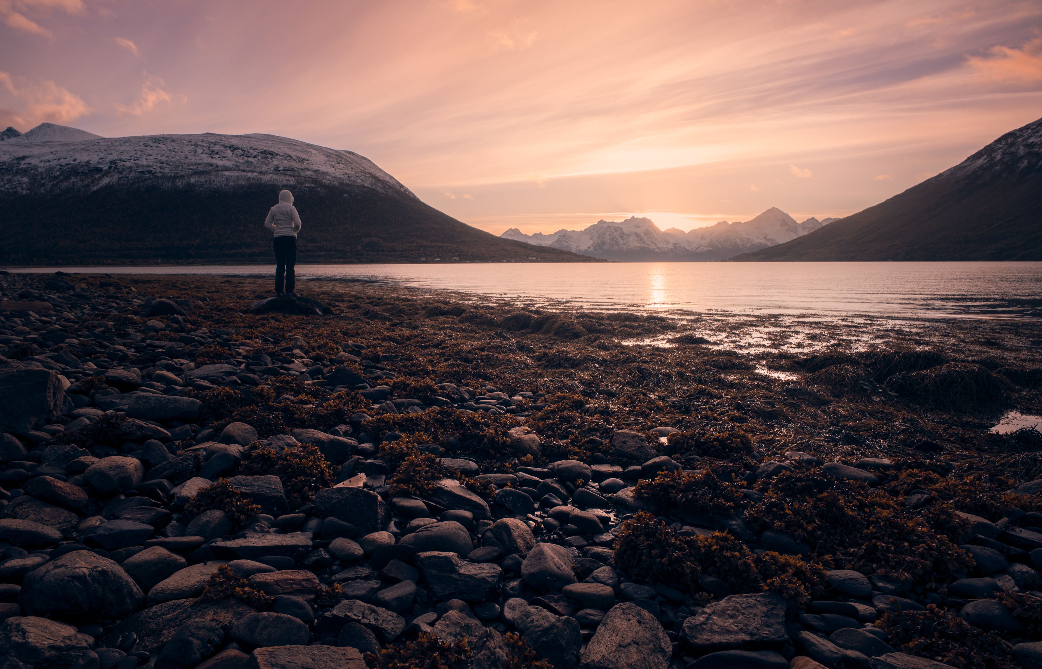 Traveler using a smartphone to capture a scenic Norwegian fjord