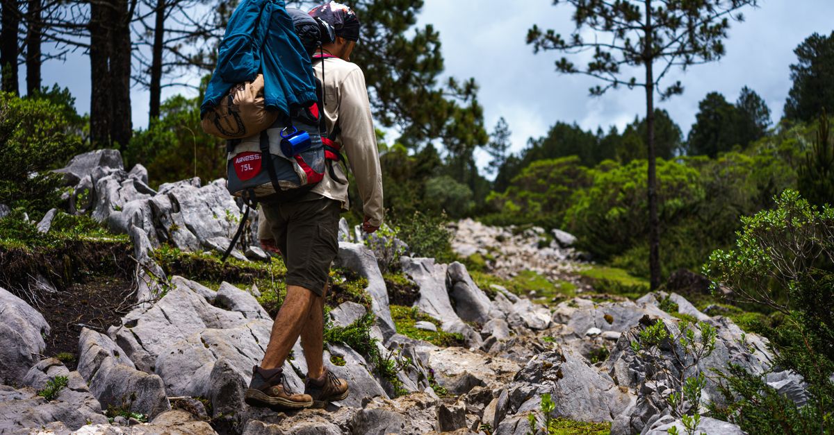 Hiker with backpack walking on rocky trail with green vegetation on Mount Adaklu