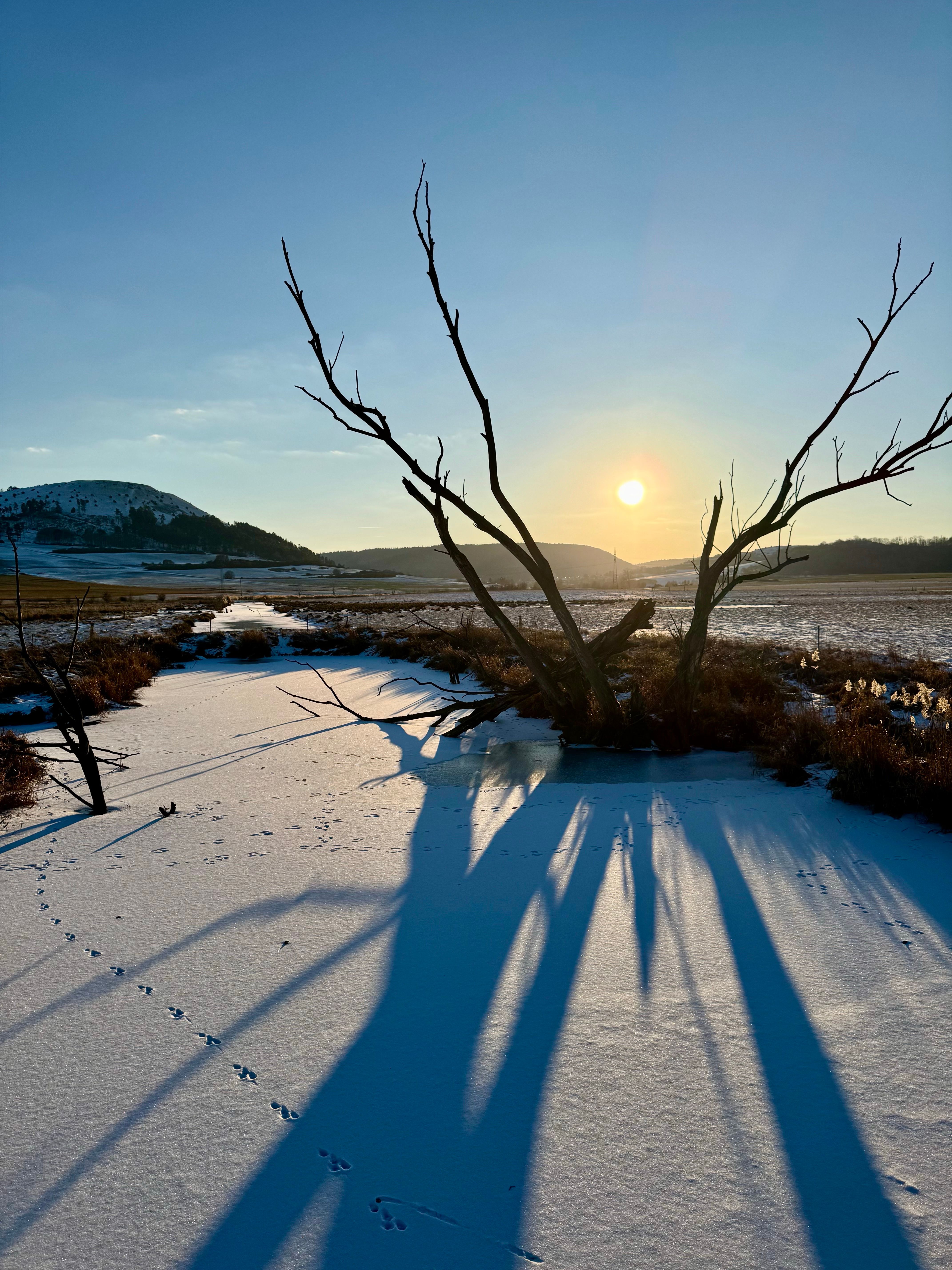 Serene Winter Sunrise Over Snowy Landscape · Free Stock Photo