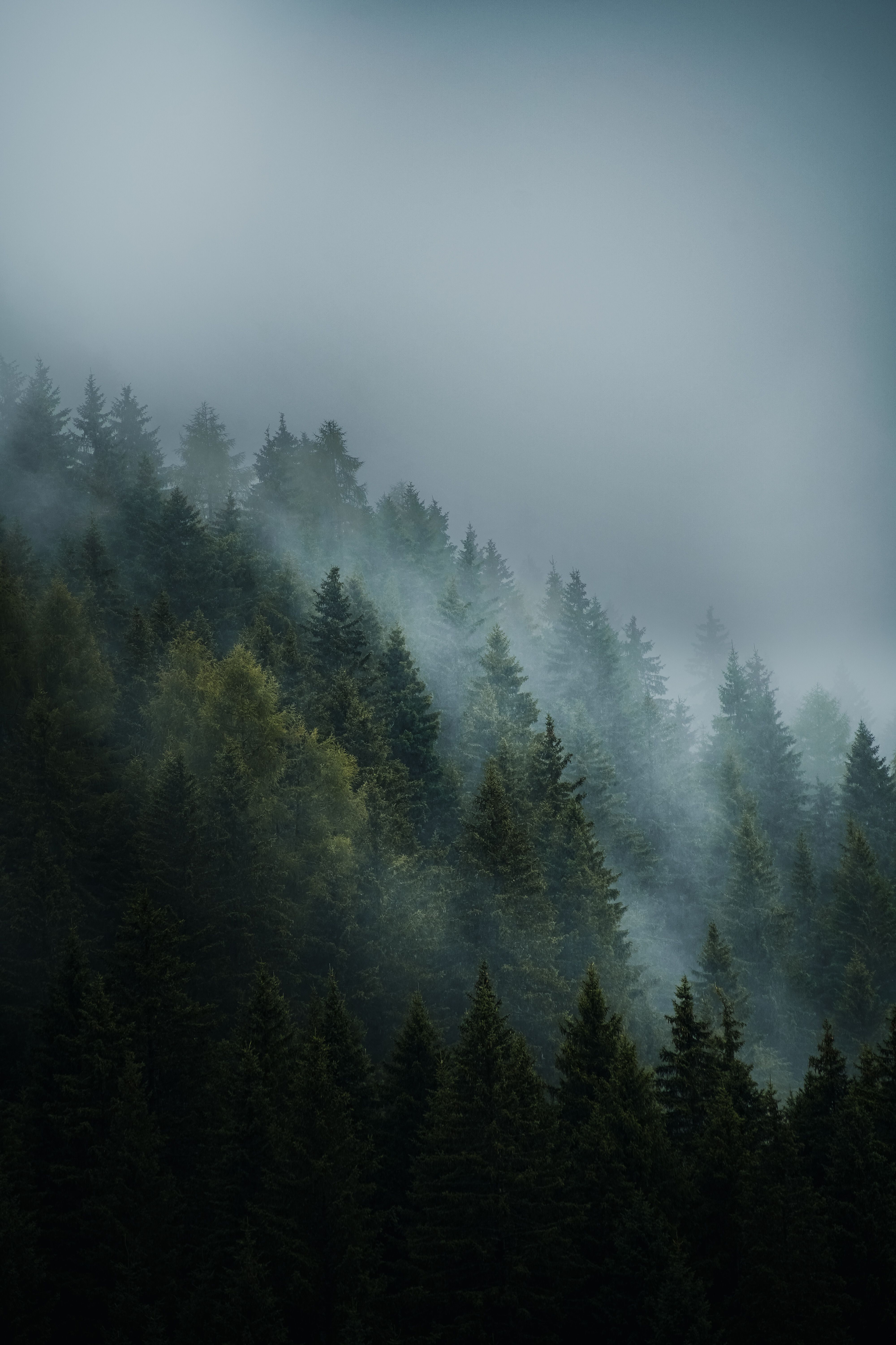 Tvk+Wallpaper+4k Photos, Download The BEST Free Tvk+Wallpaper+4k Stock ...