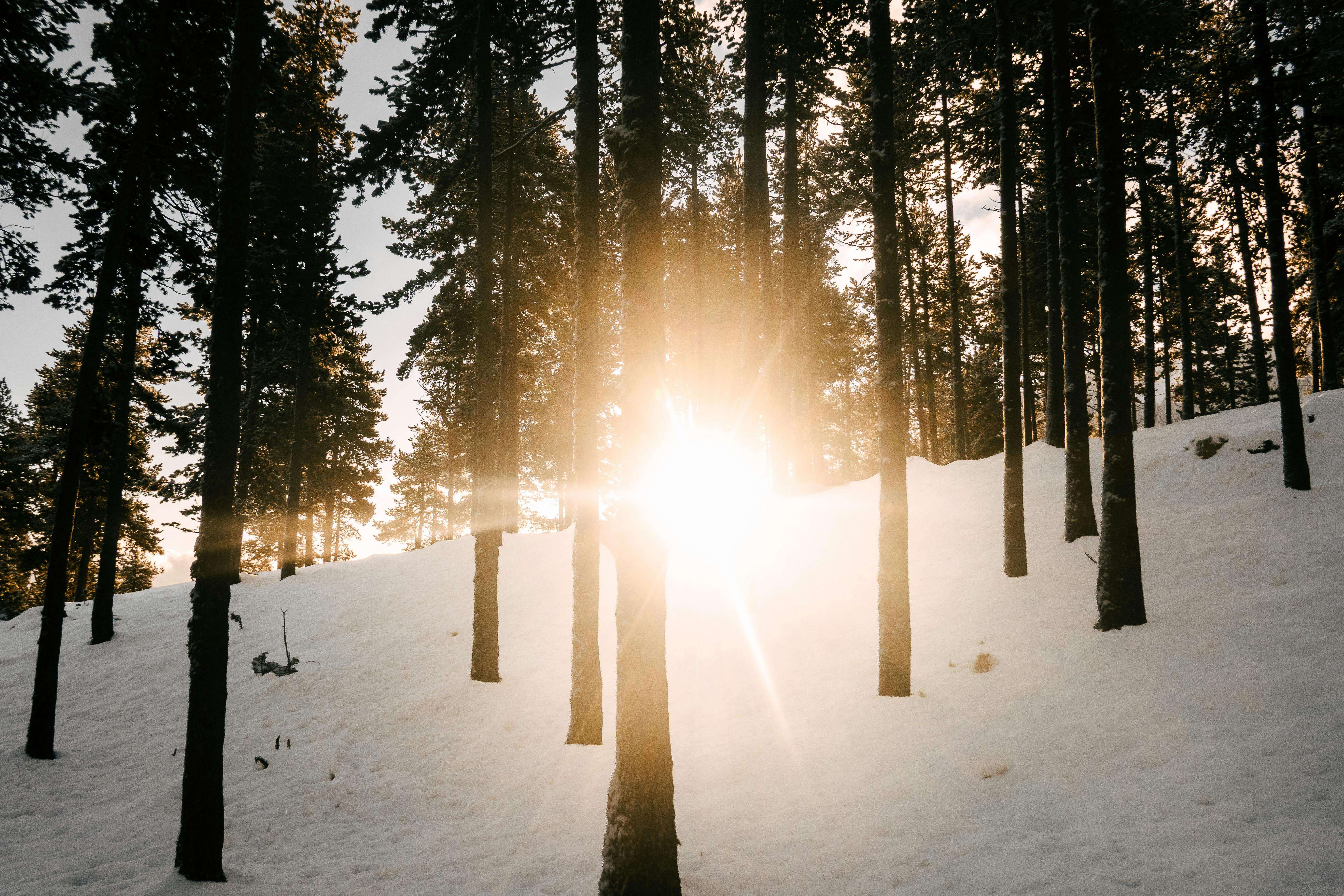 Cum să valorifici lumina naturală pe timp de iarnă
