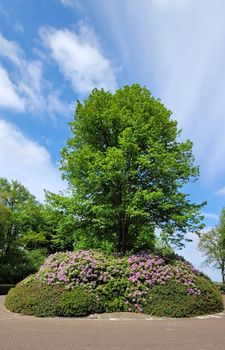 A majestic tree surrounded by vivid purple blooms and lush greenery, set against a clear blue sky.