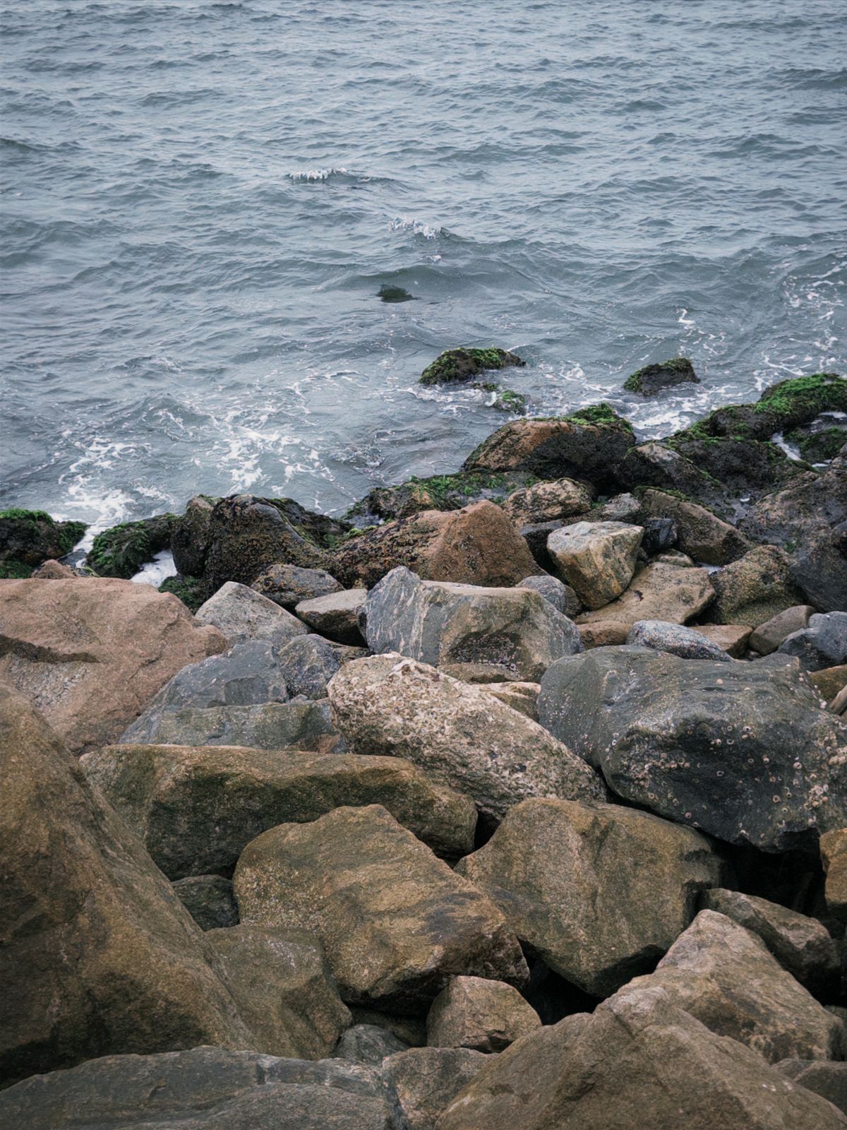 Seashore Rocks Photos, Download The BEST Free Seashore Rocks Stock ...