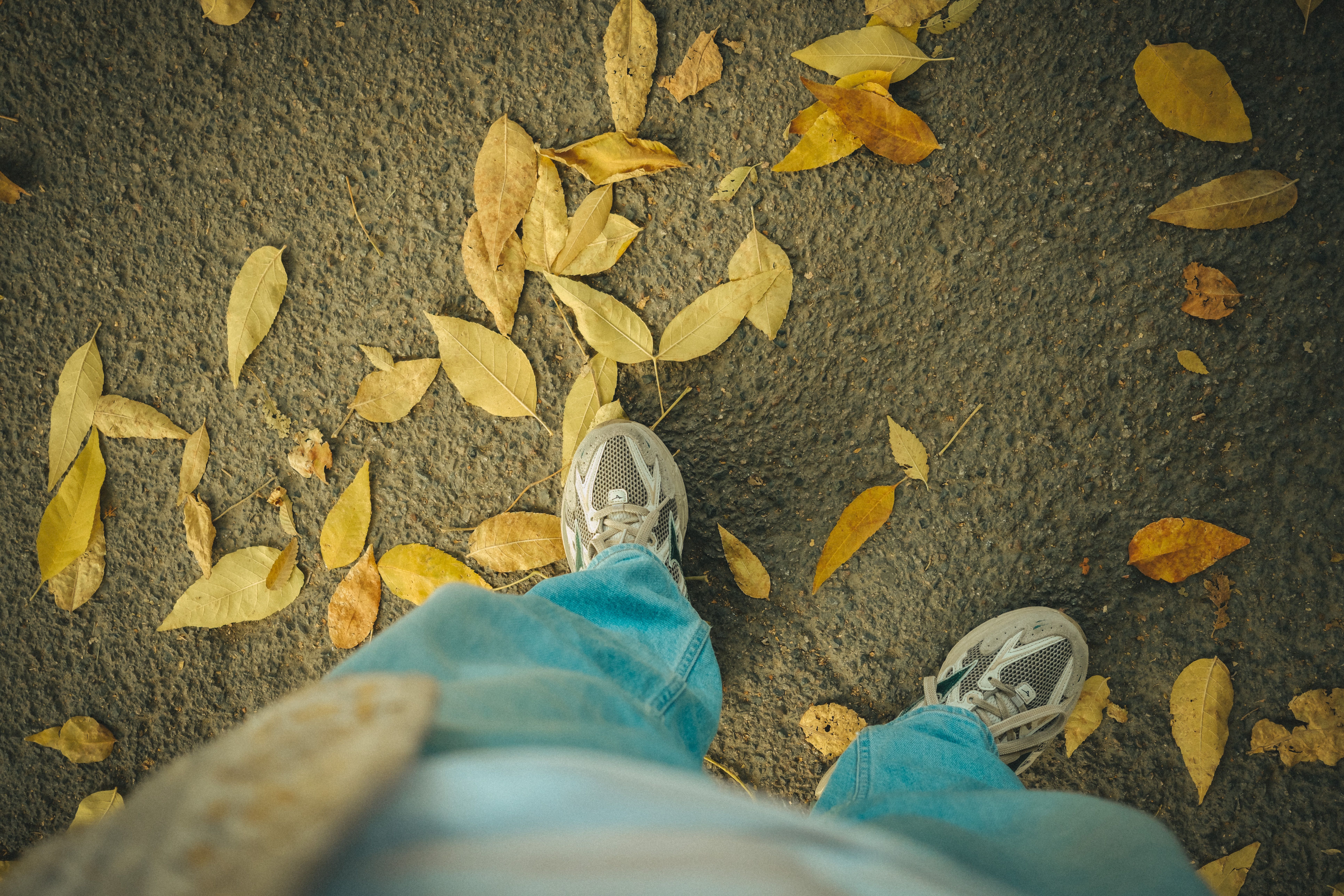 comfortable walking shoes on a stone path in a Japanese garden, with a subtle cultural element