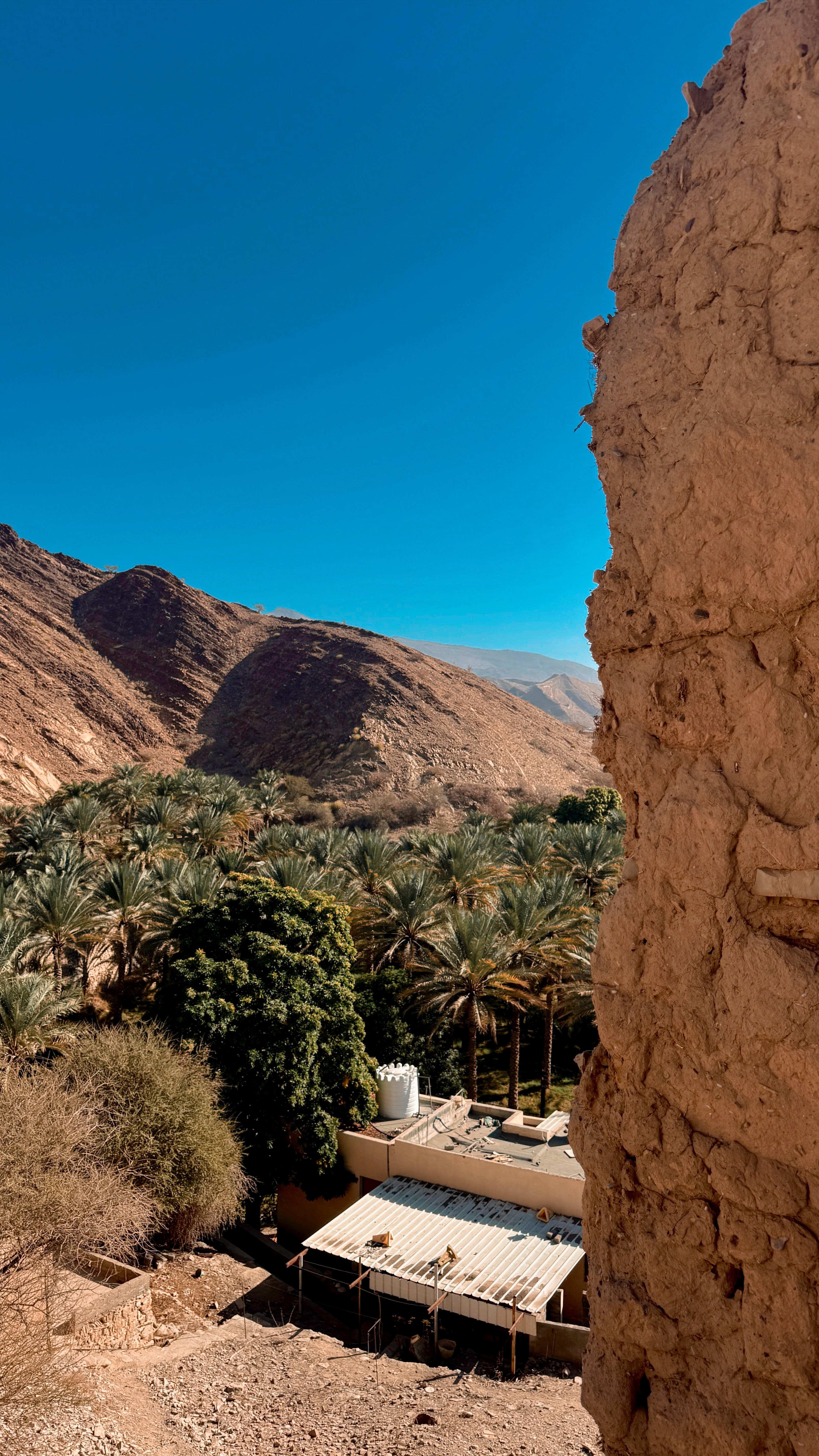 Explore a stunning desert oasis with lush palm trees and mountains in Oman.