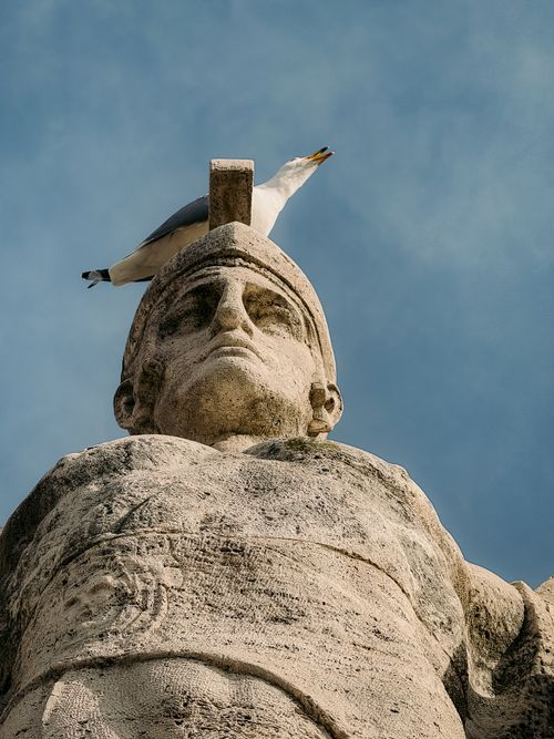 Free Seagull perched atop an ancient Roman statue under a clear blue sky. Stock Photo