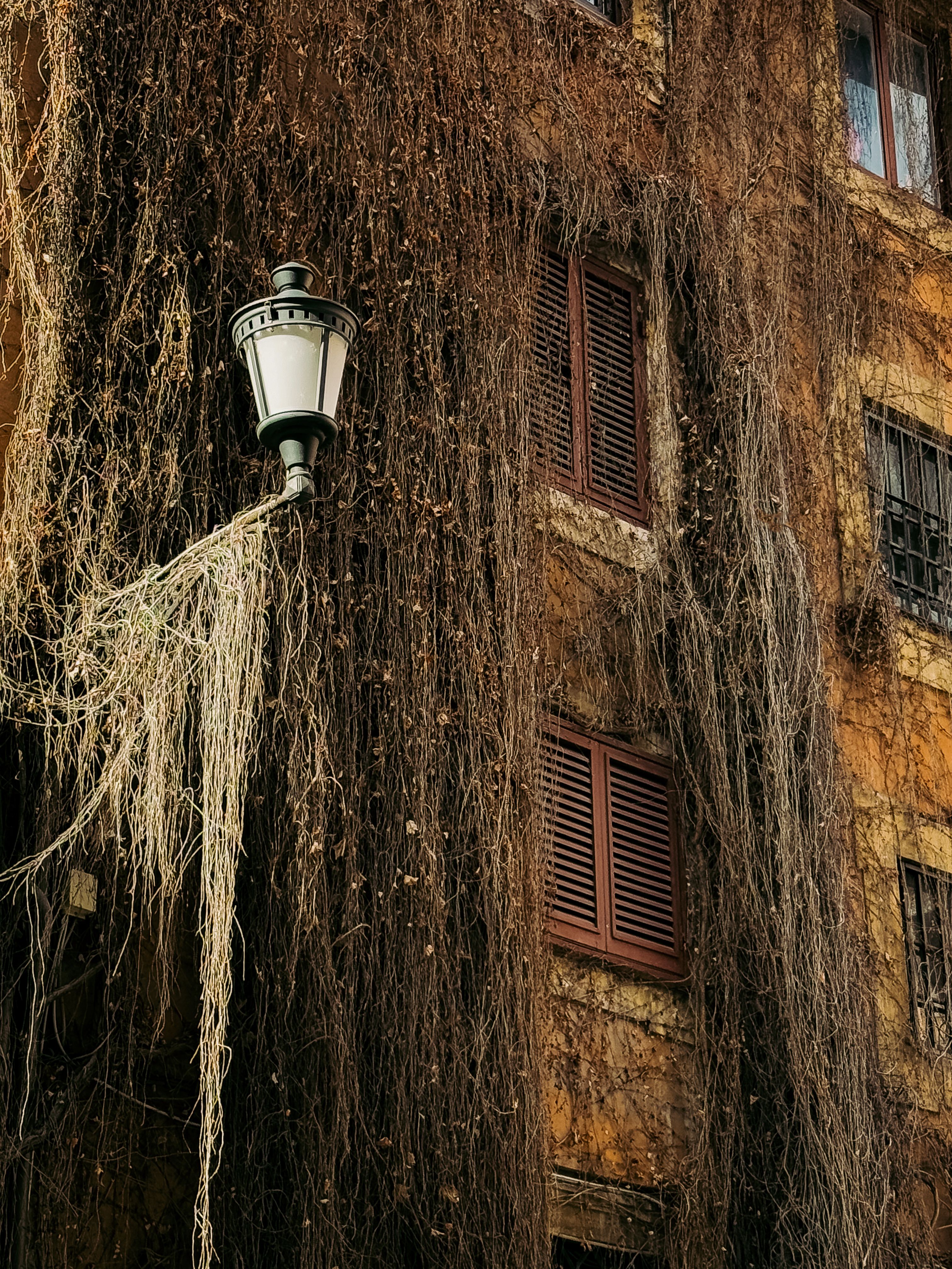 Rustic Roman Building with Overgrown Vines · Free Stock Photo