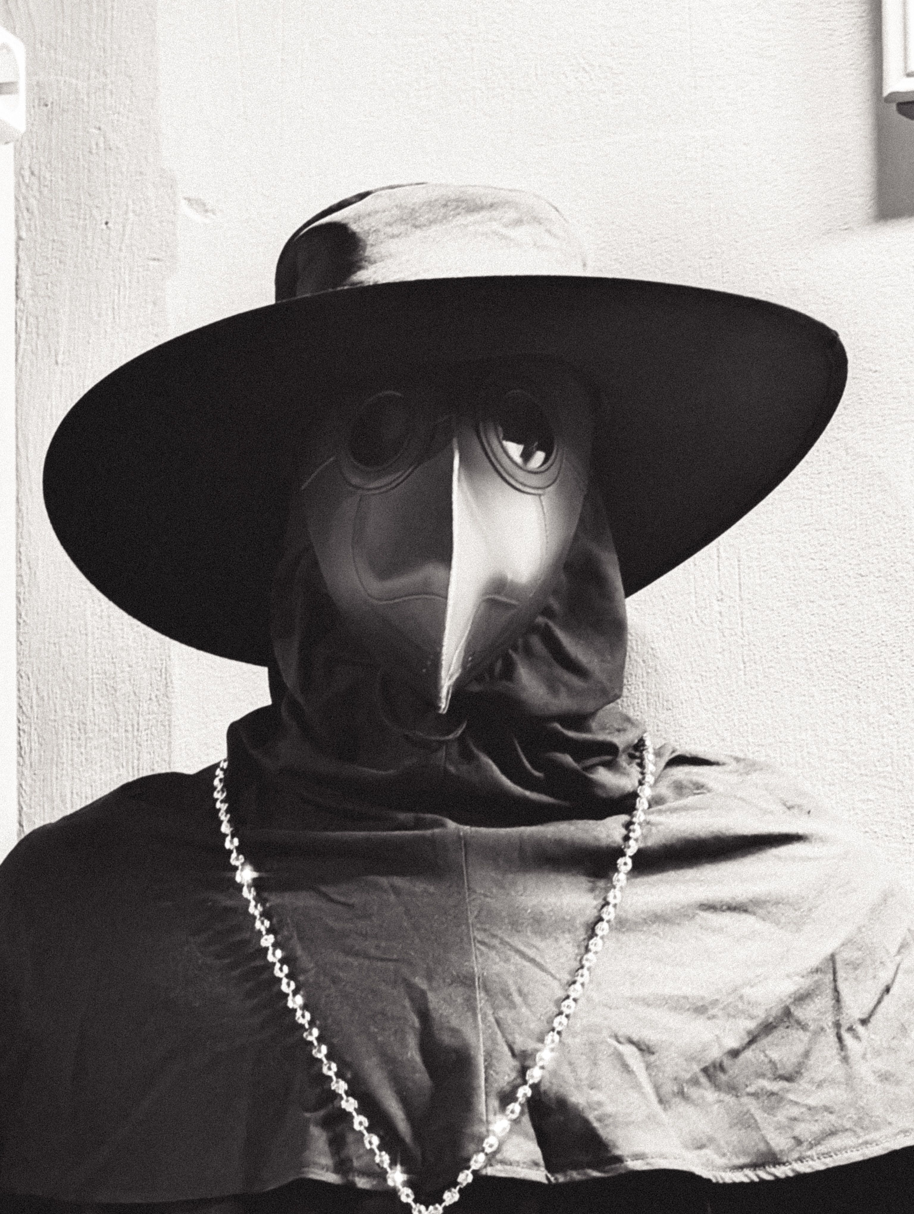 Plague Doctor Inspired Leather Mask · Free Stock Photo