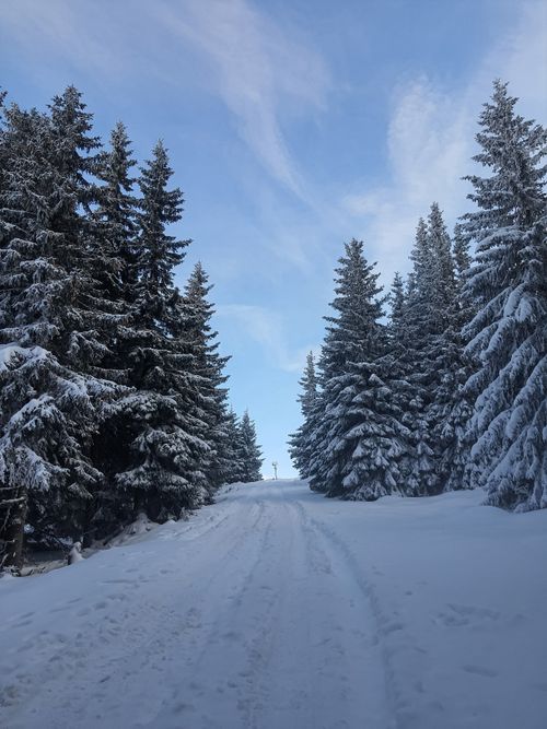 Free A serene winter scene of a snow-covered path lined with frosty evergreen trees in Karpacz, Poland. Stock Photo