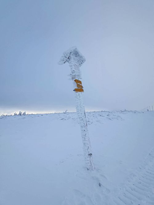 Free A snow-covered trail sign stands against a snowy backdrop in the Karpacz, Poland winter landscape. Stock Photo