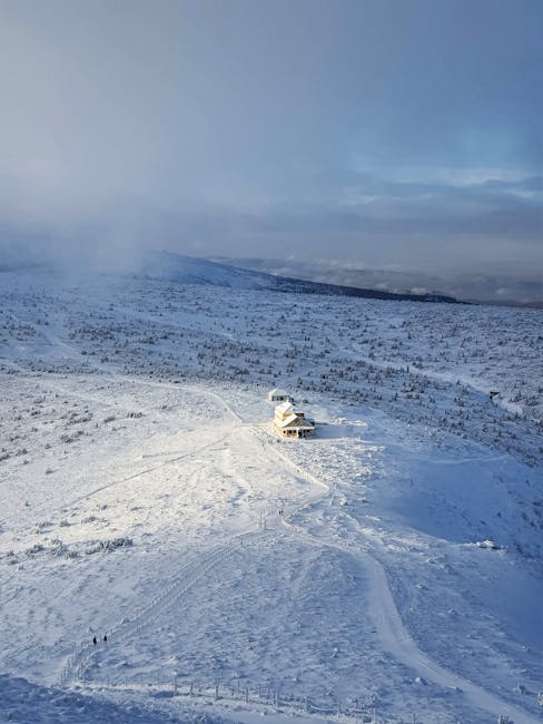 Leading Performance of the Vitamix Ascent in Hand Blender Technologies