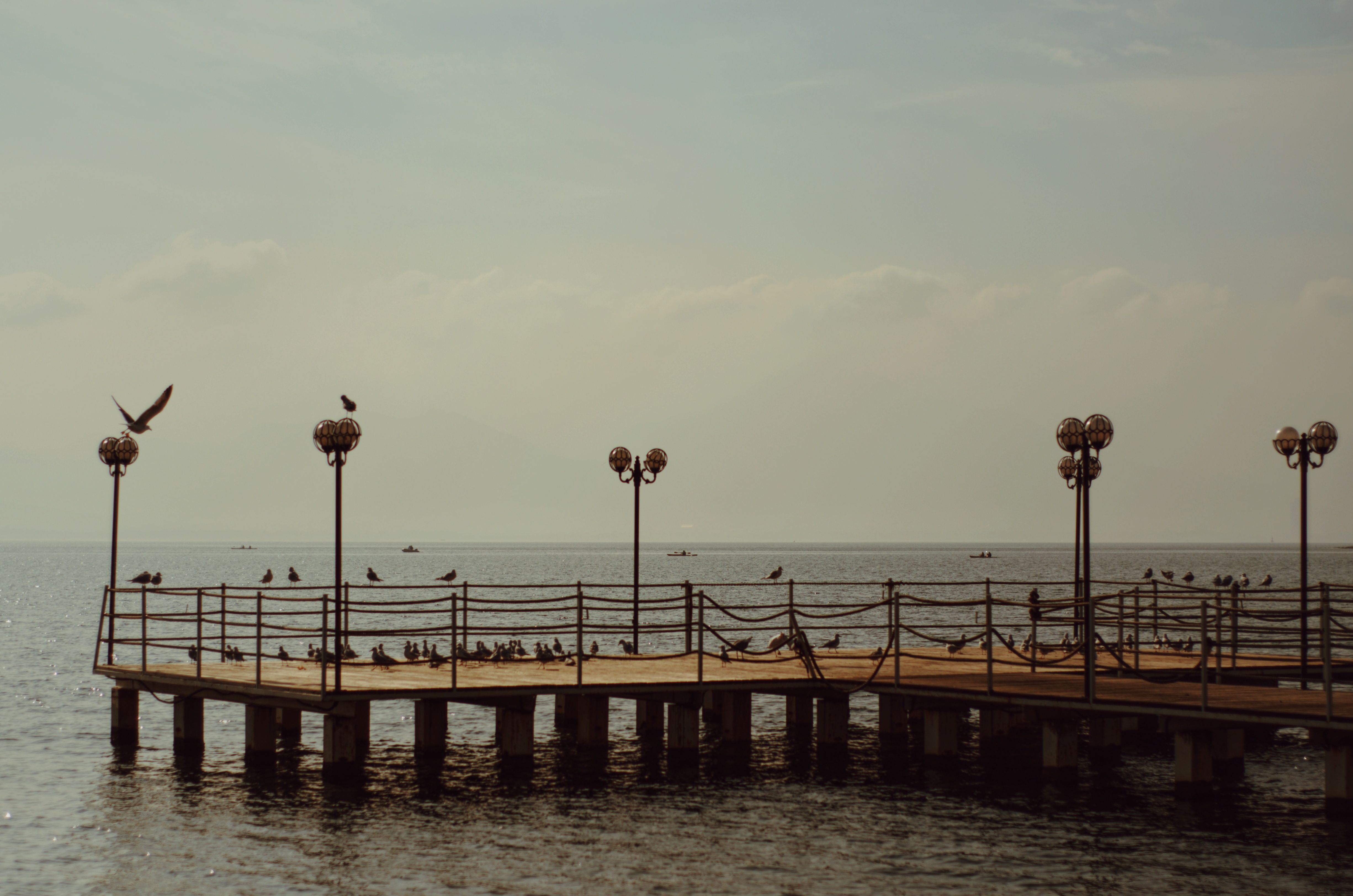 Seagulls rest on a wooden pier over the Aegean Sea on a tranquil, cloudy day in İzmir, Turkey. - Fotografer Sidoarjo