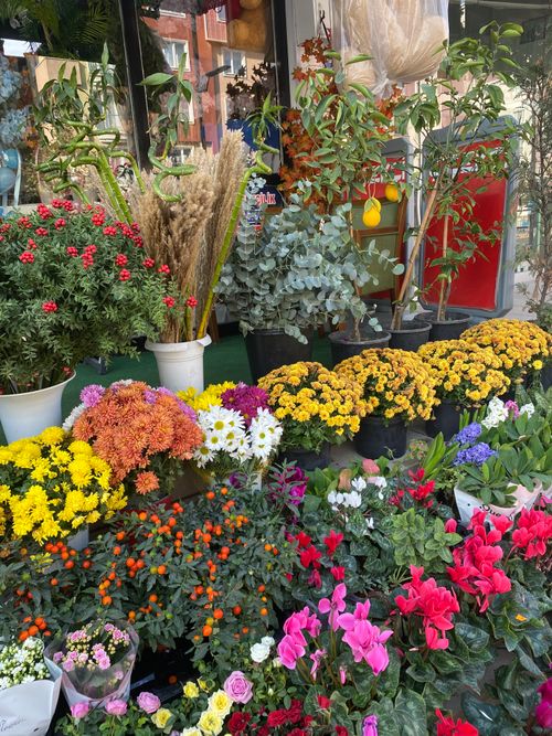 Free Colorful assortment of flowers outside a city shop, showcasing floral diversity and natural beauty. Stock Photo