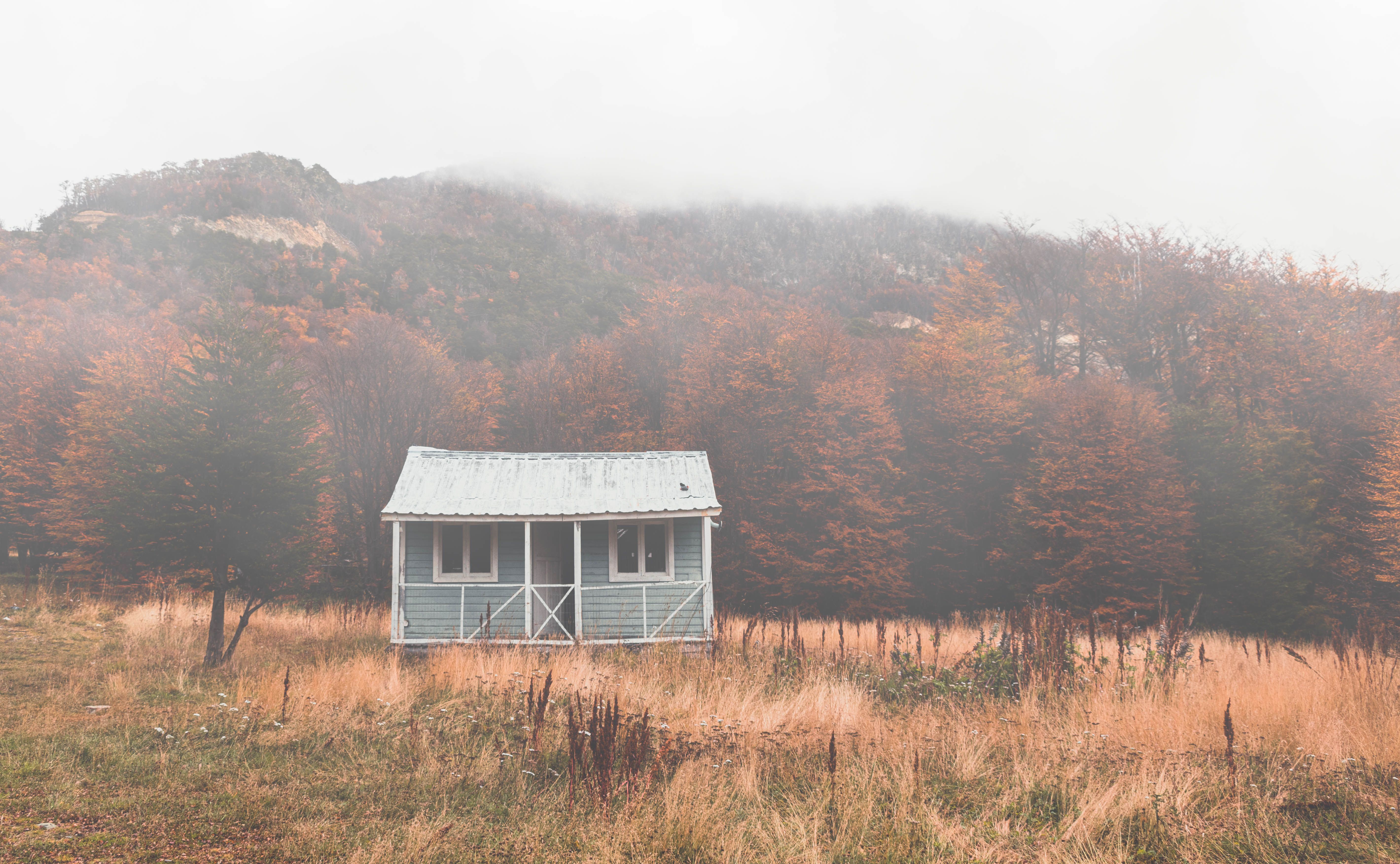 A solitary cabin in a misty autumn forest, showcasing serene isolation.