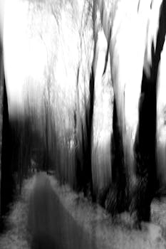 Blurred black and white photograph capturing an ethereal forest pathway.