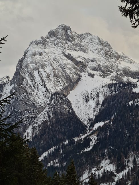 Exploring the Vibrant Visuals of Samsung's QLED Technology