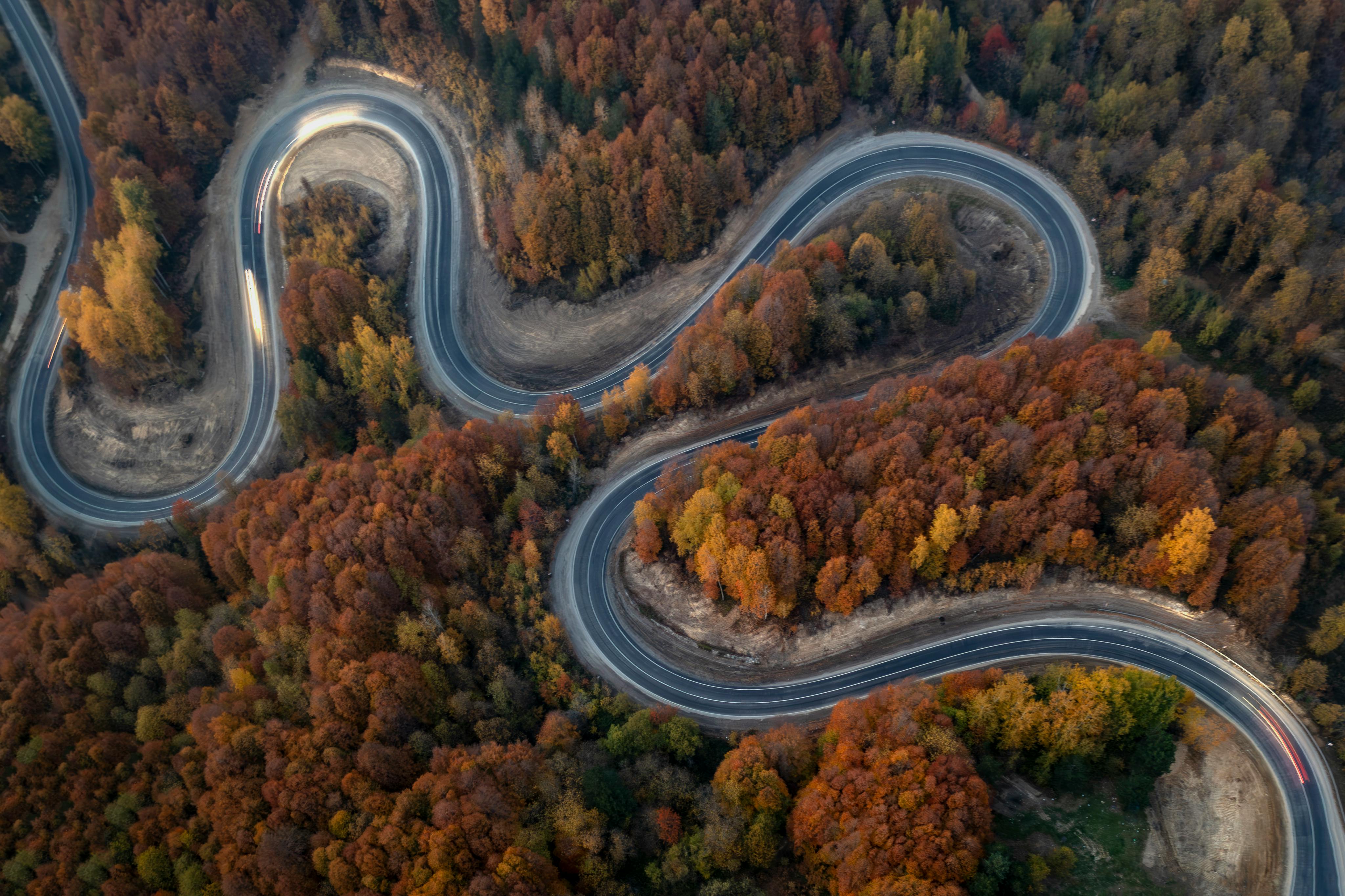 Aerial view of a winding road surrounded by a colorful autumn forest in Domaniç, Kütahya, Türkiye.