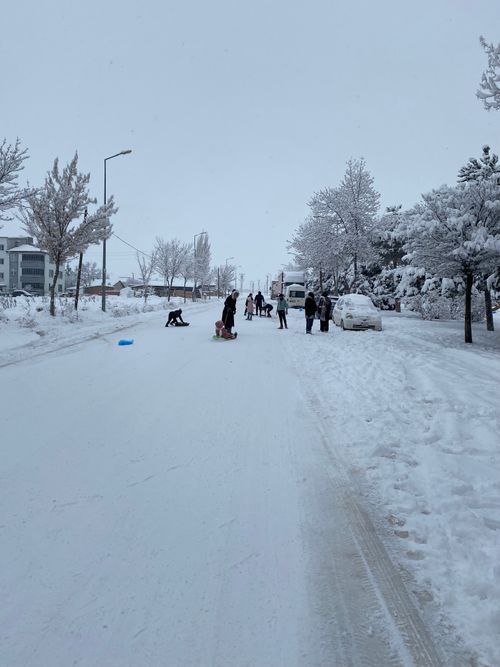 Free winter  Stock Photo