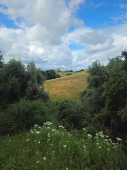 Serene countryside view featuring lush greenery, wildflowers, and a distant tower under a cloudy sky.
