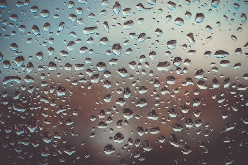 Free Dew Drops on Glass Stock Photo