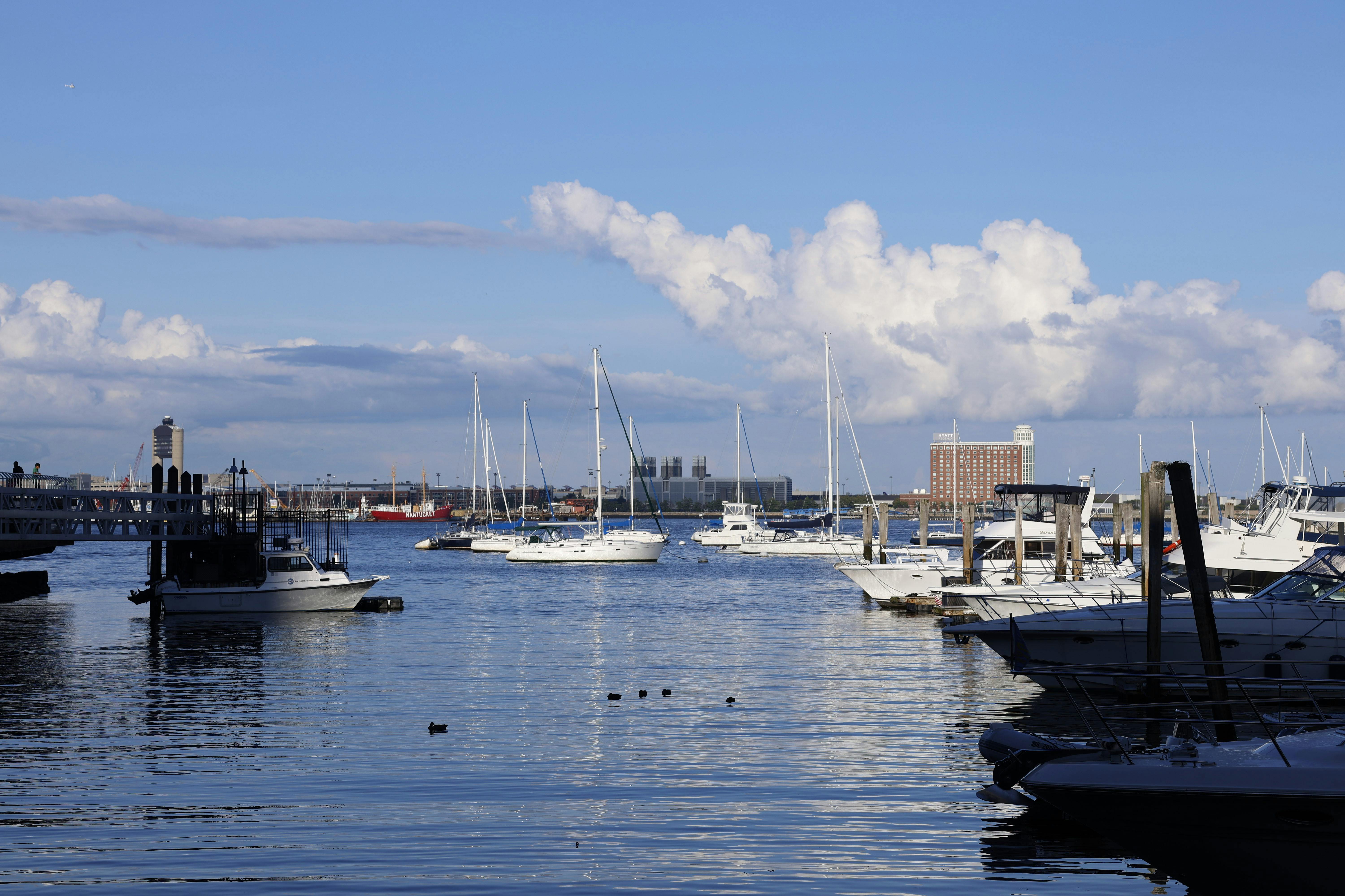 Boston Harbor's Silent Guardians: NOAA's PORTS Revolutionizes Maritime Destiny - Environment Perspective