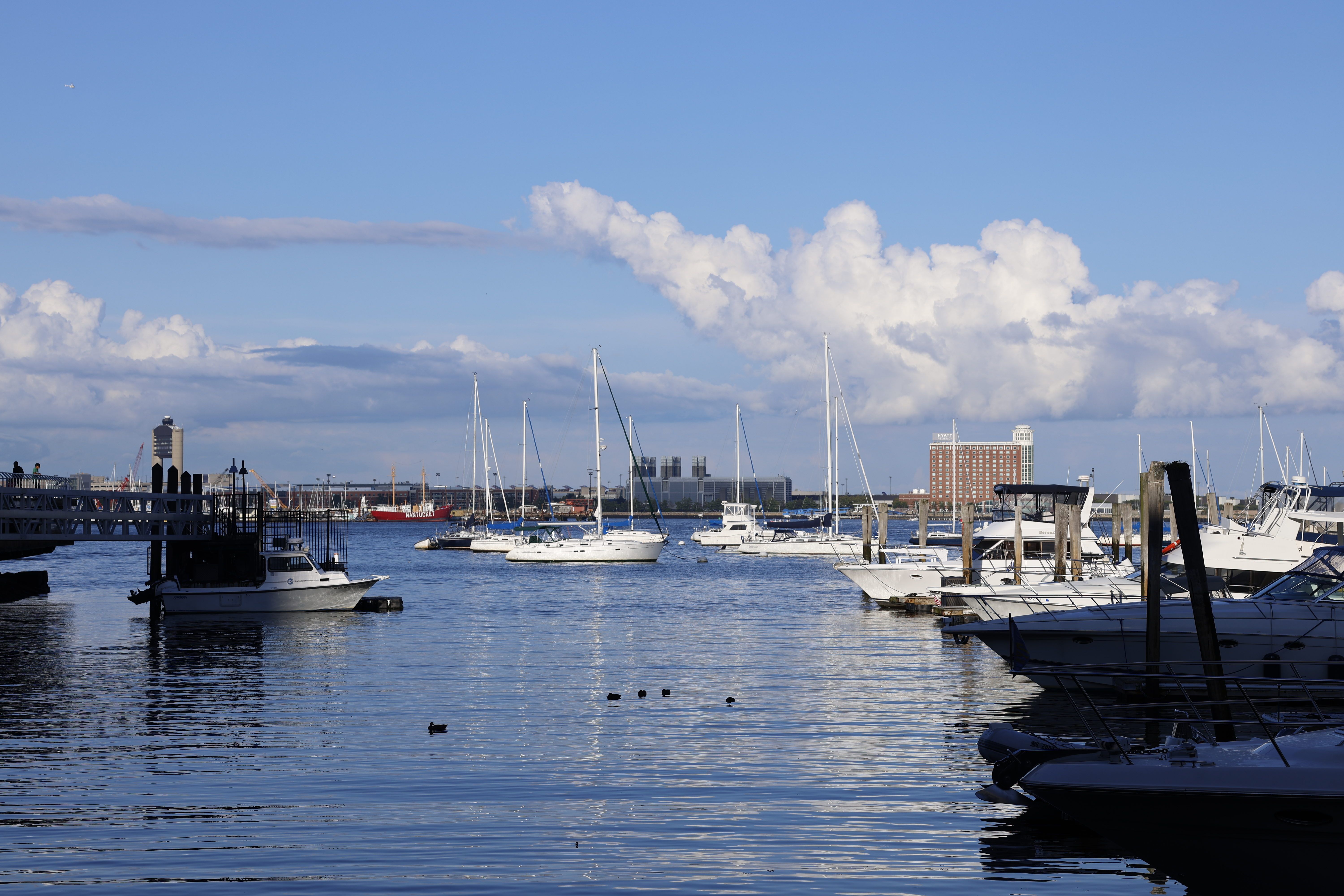 Scenic View of Boston Harbor with Boats and Skyline · Free Stock Photo